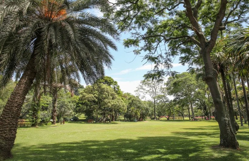 Durban Botanic Gardens, South Africa